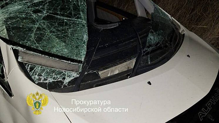 Пассажир погиб в перевернувшемся в кювете автомобиле в Новосибирской области