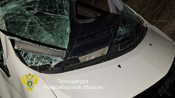 Пассажир погиб в перевернувшемся в кювете автомобиле в Новосибирской области