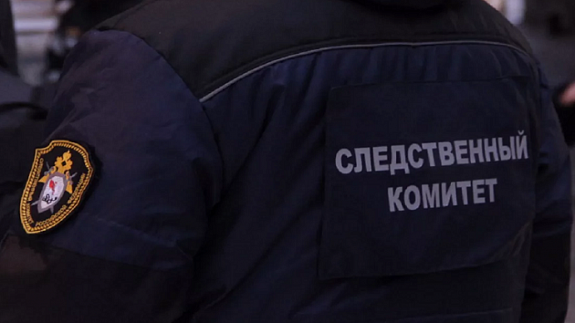 В Новосибирске СК начал проверку после удара девушки током в троллейбусе