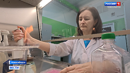 Тест-систему респираторных инфекций для скота разработали в Новосибирске