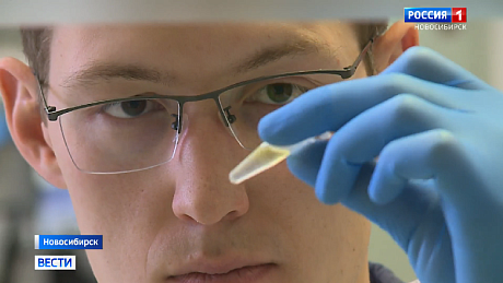 ВЕСТИ Новосибирск