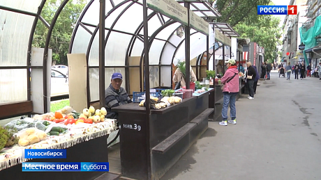 ВЕСТИ Новосибирск