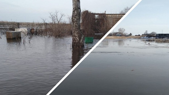 Талые воды затопили улицы городов и сёл Новосибирской области