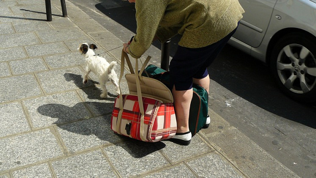 В Новосибирской области рецидивист украл сумку у 87-летней бабушки