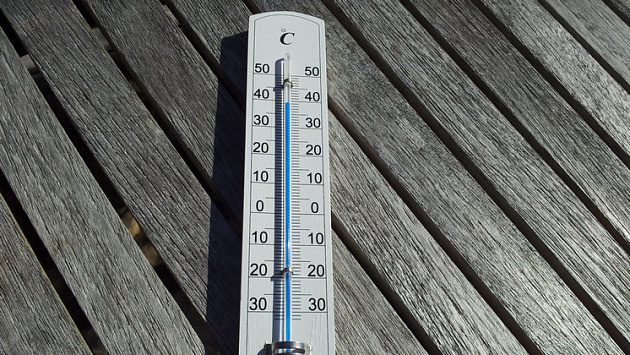  Новосибирские метеорологи 6 июня зафиксировали очередной температурный рекорд