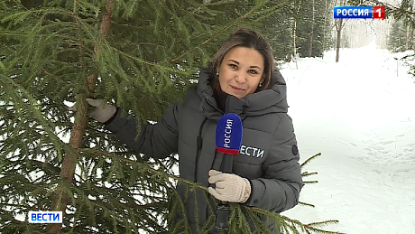 ВЕСТИ Новосибирск