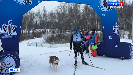 ВЕСТИ Новосибирск