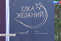 В Новосибирске подвели итоги акции «Ёлка желаний-2025»