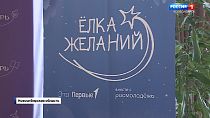В Новосибирске подвели итоги акции «Ёлка желаний-2025»