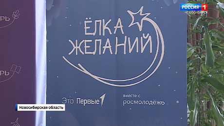 ВЕСТИ Новосибирск