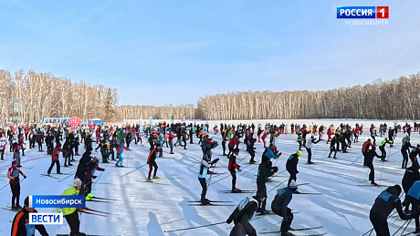 ВЕСТИ Новосибирск