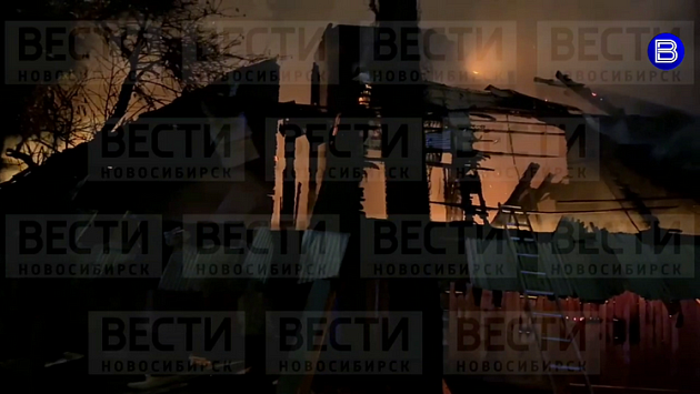 Прокуроры назвали предварительную причину пожара в новосибирском зоопарке