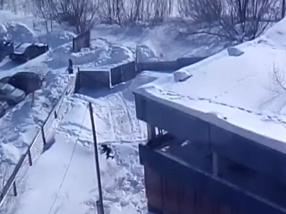 Следователи проверят видео, на котором дети прыгают с крыши 3-этажного дома в Новосибирске 
