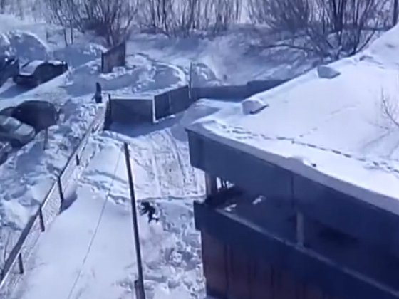 Следователи проверят видео, на котором дети прыгают с крыши 3-этажного дома в Новосибирске