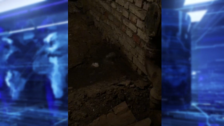 Фонтан с фекалиями забил в подвале жилого дома в Новосибирске