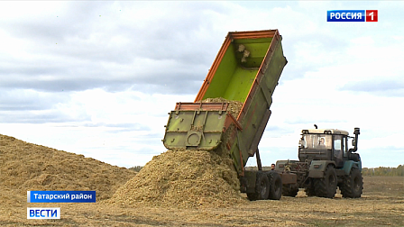 Оставшийся в полях урожай спасают новосибирские аграрии