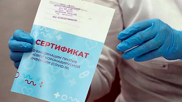 В Новосибирской области зафиксировали 89 заявлений о поддельных сертификатах о вакцинации