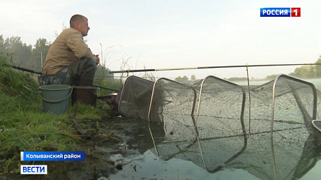 ВЕСТИ Новосибирск