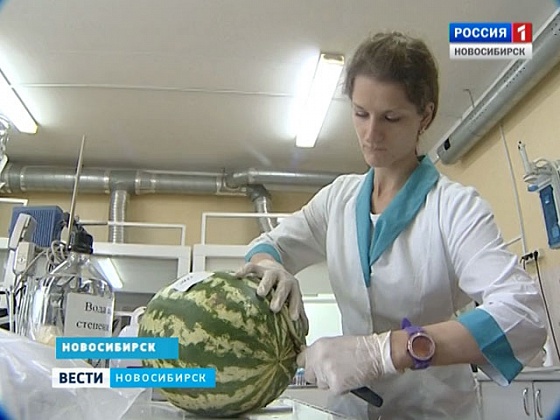 Специалисты проверили, безопасны ли арбузы, продающиеся в Новосибирске