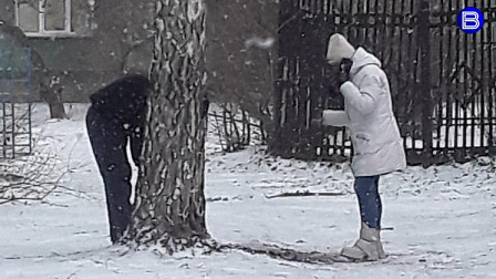 В Новосибирске «садовники-кладмены» переполошили местных жителей 