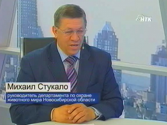 Весенняя охота