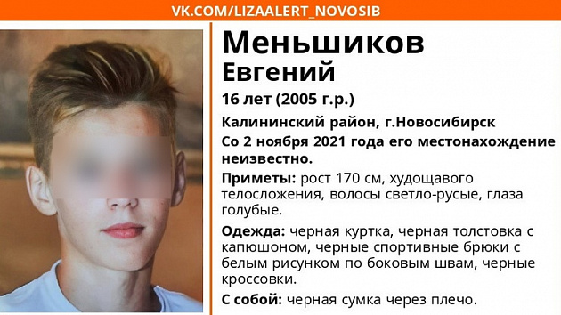 В Новосибирске 16-летнего подростка не могут найти со 2 ноября