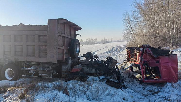 Стали известны подробности столкновения поезда и грузовика под Новосибирском