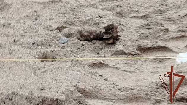 В песочнице около дома в Новосибирске дети нашли ржавую старую мину