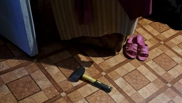 Забивший до смерти молотком свою пожилую мать новосибирец ответит перед судом