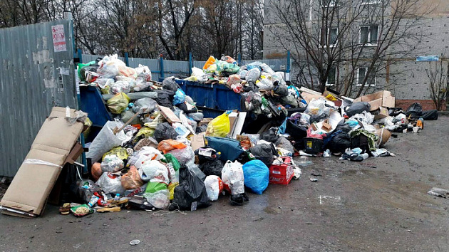 Прокуратура возбудила дела против «Экологии-Новосибирск» из-за невывоза мусора