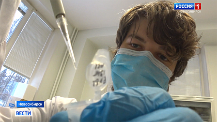 Над новыми сортами сои с заданными качествами работают новосибирские учёные