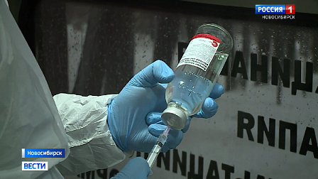 В Новосибирске ввели карантин по бешенству из-за нападения дикой лисы