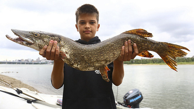 12-летний новосибирец сумел выловить четырехкилограммовую щуку