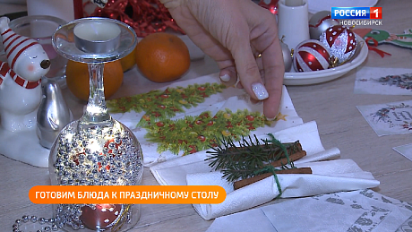 ВЕСТИ Новосибирск