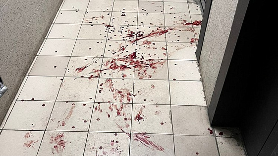 Проткнувший саблей и кинжалом родного сына новосибирец ответит перед судом