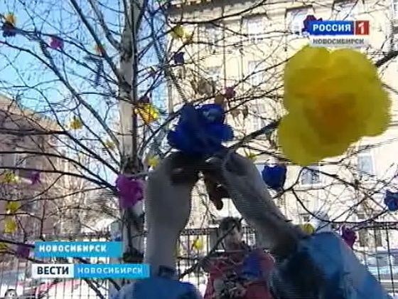 В Новосибирске расцвело конфетное дерево