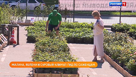 ВЕСТИ Новосибирск