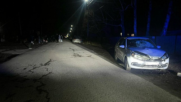 Пьяная водитель насмерть сбила двух женщин под Новосибирском