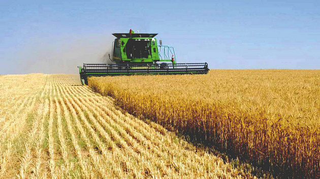Эффективность сельхозпроизводства продолжают повышать в Новосибирской области