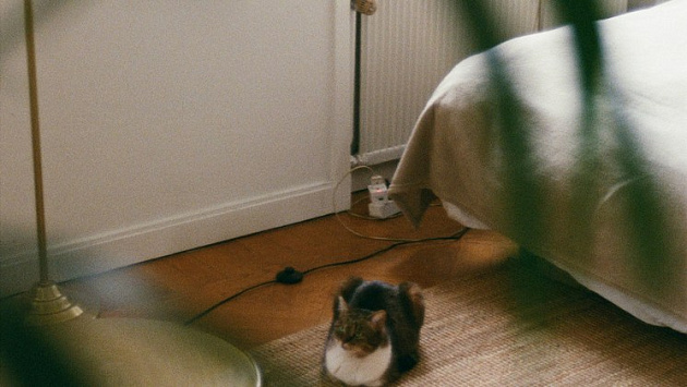 В Новосибирске за неготовность к зиме будут штрафовать управляющие компании