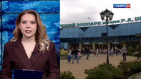 ВЕСТИ Новосибирск