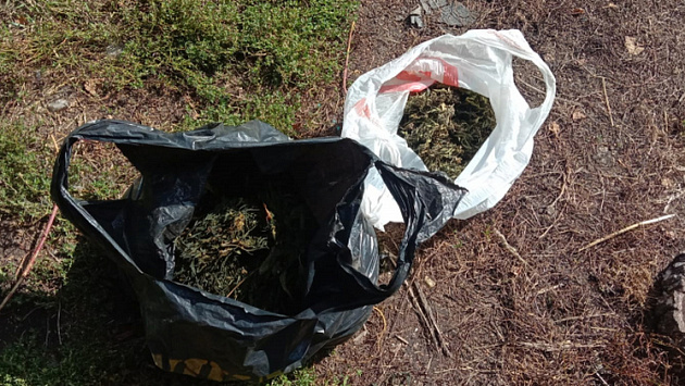 Рецидивиста с двумя килограммами марихуаны в багажнике задержали в Новосибирской области