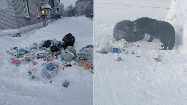 Жители поселка Чик под Новосибирском третью неделю живут с горами мусора на улицах