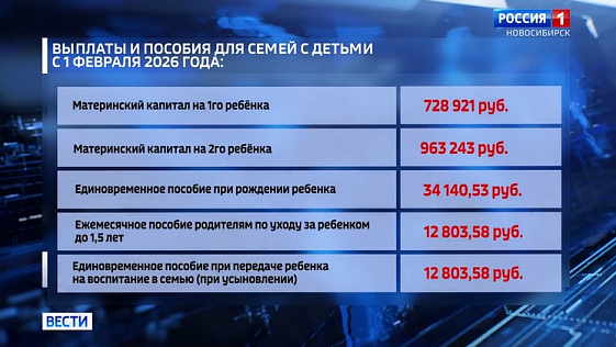Ряд социальных выплат и пособий увеличили в Новосибирской области с 1 февраля