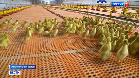 Десятки миллиардов рублей вложили инвесторы в новосибирские предприятия в 2021 году 