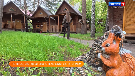ВЕСТИ Новосибирск