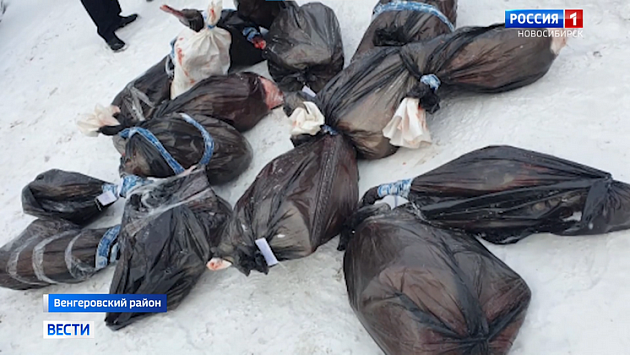 Двух экс-полицейских и подельника приговорили за убийство 23 косуль в Новосибирской области