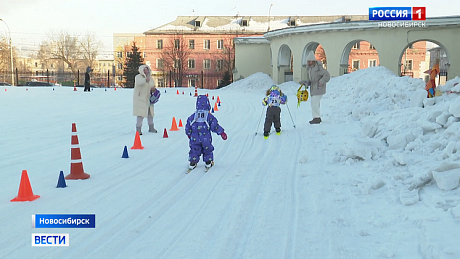 ВЕСТИ Новосибирск
