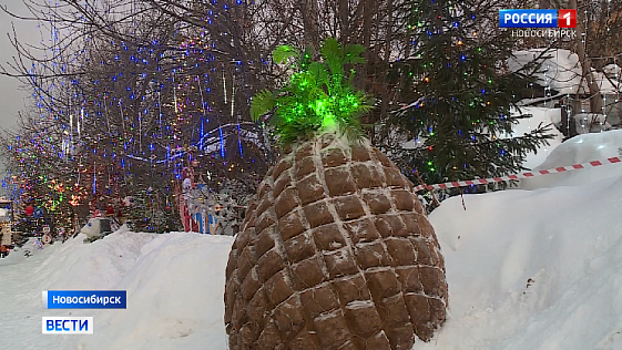 Новосибирская улица стала народной новогодней достопримечательностью