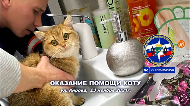 В Новосибирске экипаж спасателей выехал на помощь коту с застрявшей в раковине лапкой